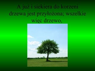 A już i siekiera do korzeni drzewa jest przyłożona; wszelkie więc drzewo,  