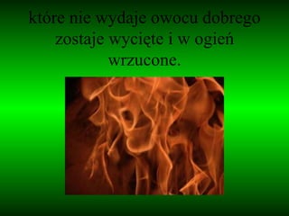 które nie wydaje owocu dobrego zostaje wycięte i w ogień wrzucone. 