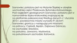 WSB
Sosnowiec położony jest na Wyżynie Śląskiej w obrębie
wschodniej części Płaskowyżu Bytomsko-Katowickiego.
Pod względem geologicznym Sosnowiec położony jest w
namonoklinie śląsko-krakowskiej znajdującej się
na platformie paleozoicznej Według danych z 1 stycznia
2013 r. powierzchnia miasta wynosiła 91,06 km².
Sosnowiec graniczy z następującymi miastami:
na północy: Czeladź, Będzin, Dąbrowa Górnicza,
na wschodzie: Sławków,
na południu: Jaworzno, Mysłowice,
na południowym zachodzie: Katowice.
 