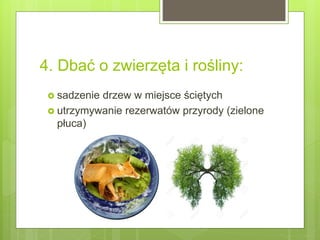 4. Dbać o zwierzęta i rośliny:
 sadzenie drzew w miejsce ściętych
 utrzymywanie rezerwatów przyrody (zielone
płuca)
 