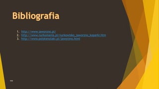 WSB
1. http://www.jaworzno.pl/
2. http://www.nurkomania.pl/nurkowisko_jaworzno_koparki.htm
3. http://www.polskieszlaki.pl/jaworzno.html
 