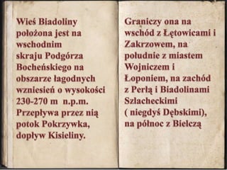 Graniczy ona na wschód z Łętowicami i Zakrzowem, na południe z miastem Wojniczem i Łoponiem, na zachód z Perłą i Biadolinami Szlacheckimi                ( niegdyś Dębskimi), na północ z BielcząWieś Biadoliny  położona jest na wschodnim skraju Podgórza Bocheńskiego na obszarze łagodnych wzniesień o wysokości 230-270 m  n.p.m.Przepływa przez nią potok Pokrzywka, dopływ Kisieliny. 