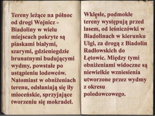 Tereny leżące na północ od drogi Wojnicz - Biadoliny w wielu miejscach pokryte są piaskami białymi, szarymi, gdzieniegdzie brunatnymi budującymi wydmy, powstałe po ustąpieniu lodowców. Natomiast w obniżeniach terenu, odsłaniają się iły mioceńskie, sprzyjające tworzeniu się mokradeł. Wklęsłe, podmokłe tereny występują przed lasem, od leśniczówki w Biadolinach w kierunku Ulgi, za drogą z Biadolin Radłowskich do Łętowic. Między tymi obniżeniami widoczne są niewielkie wzniesienia utworzone przez wydmy z okresu polodowcowego.