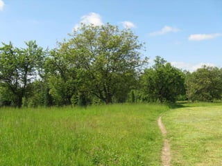 Biadoliny Radłowskie