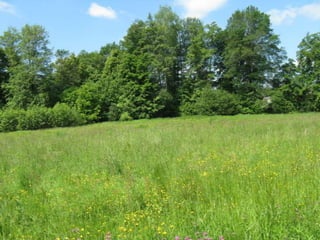 Biadoliny Radłowskie