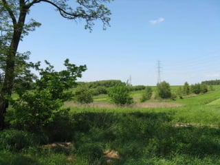 Biadoliny Radłowskie