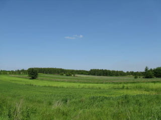 Biadoliny Radłowskie