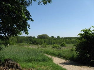 Biadoliny Radłowskie