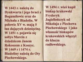 W 1443 r. należą do Dynkwarta i jego braci z Bogumiłowic oraz do Michała z Biadolin. W połowie XV w. mają 5 łan dających dziesięcinę. W 1451 r. pojawia się sołtys Marcin z dziedzicem Janem Rokoszem z Koszyc. W 1469 r i 1474 r. Biadoliny należą do Oty Plechowskiego. W 1494 r. wieś kupił  biskup krakowski Fryderyk Jagiellończyk od Mikołaja z Plechowa Plechowskiego  i jako własność biskupów krakowskich włączył do klucza radłowskiego.