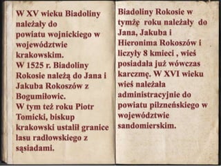 Biadoliny Rokosie w tymże  roku należały  do Jana, Jakuba i Hieronima Rokoszów i liczyły 8 kmieci , wieś posiadała już wówczas  karczmę. W XVI wieku wieś należała administracyjnie do powiatu pilzneńskiego w województwie sandomierskim. W XV wieku Biadoliny należały do powiatu wojnickiego w  województwie krakowskim.W 1525 r. Biadoliny Rokosie należą do Jana i Jakuba Rokoszów z Bogumiłowic. W tym też roku Piotr Tomicki, biskup krakowski ustalił granice lasu radłowskiego z sąsiadami.