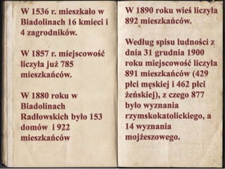 W 1890 roku wieś liczyła 892 mieszkańców.Według spisu ludności z dnia 31 grudnia 1900 roku miejscowość liczyła 891 mieszkańców (429 płci męskiej i 462 płci żeńskiej), z czego 877 było wyznania rzymskokatolickiego, a 14 wyznania mojżeszowego.W 1536 r. mieszkało w Biadolinach 16 kmieci i 4 zagrodników. W 1857 r. miejscowość liczyła już 785 mieszkańców.W 1880 roku w Biadolinach Radłowskich było 153 domów  i 922 mieszkańców