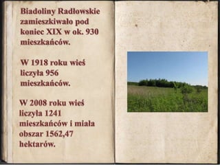 Biadoliny Radłowskie zamieszkiwało pod koniec XIX w ok. 930 mieszkańców.W 1918 roku wieś liczyła 956 mieszkańców.W 2008 roku wieś liczyła 1241 mieszkańców i miała obszar 1562,47 hektarów.