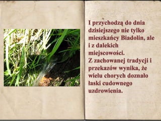 I przychodzą do dnia dzisiejszego nie tylko mieszkańcy Biadolin, ale i z dalekich miejscowości. Z zachowanej tradycji i przekazów wynika, że wielu chorych doznało łaski cudownego uzdrowienia. 