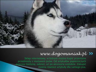 Sklep internetowy, w którym można kupić przeróżne przedmioty z motywem psów. Od artykułów papierniczych poprzez bieliznę, odzież, aż po akcesoria ozdobne. Zakupić można również artykuły dla samego psa.www.dogomaniak.pl