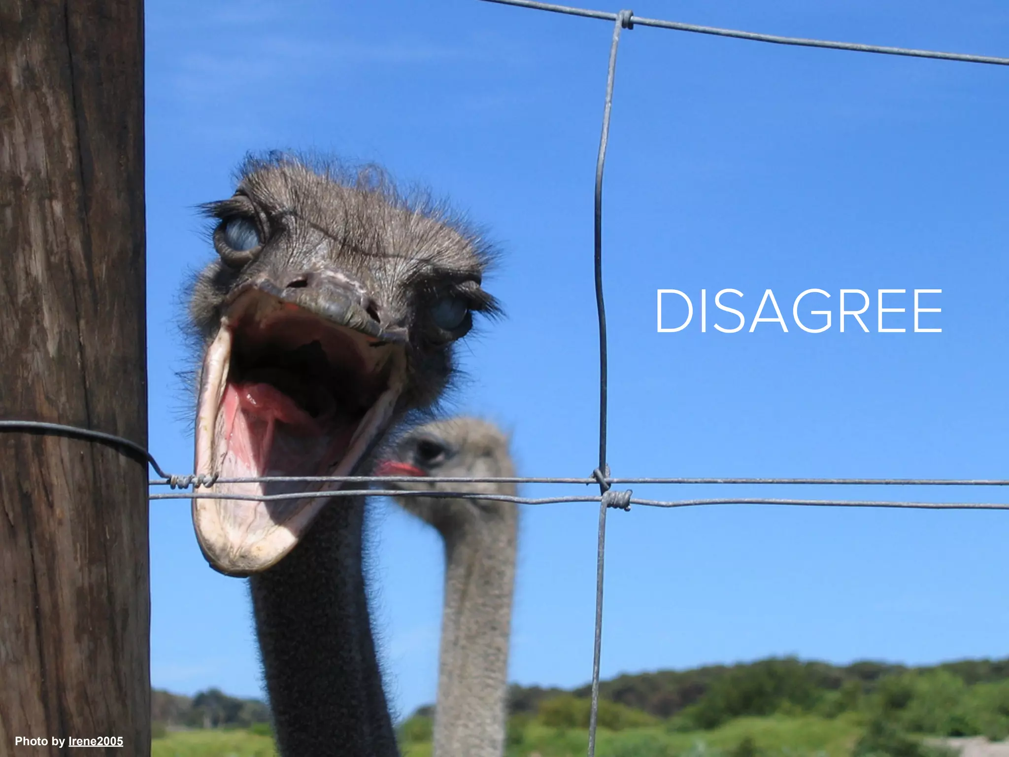 DISAGREE




Photo by Irene2005   UX DESIGN APP - WWW.UXPIN.COM
 