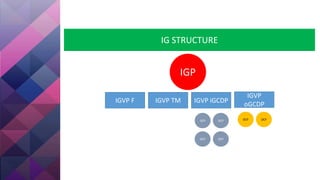 IG STRUCTURE
IGP
OCP OCP
OCP
OCP OCP
OCP
IGVP F IGVP TM IGVP iGCDP
IGVP
oGCDP
 