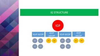 IG STRUCTURE
IGP
OCP OCP
OCP
OCP OCP
OCP
IGVP iGCDP
IGVP
oGCDP
IGVP iGCDP
IGVP
oGCDP
OCP OCP
OCP OCP
OCP OCP
 