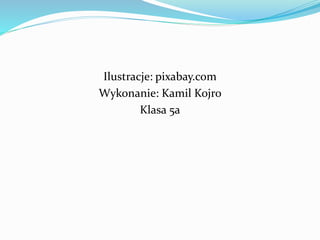 Ilustracje: pixabay.com
Wykonanie: Kamil Kojro
Klasa 5a
 