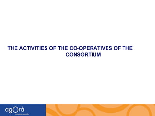 THE ACTIVITIES OF THE CO-OPERATIVES OF THE  CONSORTIUM 