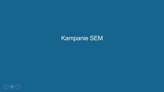 55
Kampanie SEM
 