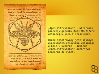 „Apis Vitruvianus” - wizerunek 
pszczoły gatunku Apis Mellifera 
wpisanej w koło i sześciokąt. 
Obraz inspirowany jest słynnym 
wizerunkiem człowieka wpisanego 
w koło i kwadrat – szkicem 
„Homo Vitruvianus” autorstwa 
Leonardo da Vinci. 
 