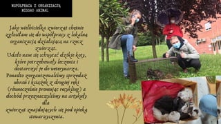 WSPÓŁPRACA Z ORGANIZACJĄ
MISSAO ANIMAL
Jako wielbicielka zwierząt chętnie
zgłosiłam się do współpracy z lokalną
organizacją działającą na rzecz
zwierząt.
Udało nam się schwytać dzikie koty,
które potrzebowały leczenia i
dostarczyć je do weterynarza.
Ponadto zorganizowaliśmy sprzedaż
ubrań i książek z drugiej ręki
(równocześnie promując recykling) a
dochód przeznaczyliśmy na artykuły
dla
zwierząt znajdujących się pod opieką
stowarzyszenia.
 