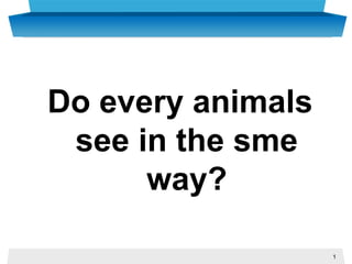 1
Do every animals
see in the sme
way?
 