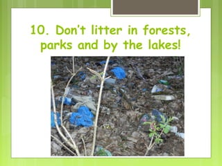 10. Don’t litter in forests,
parks and by the lakes!
 