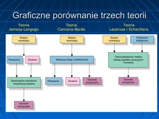 Graficzne porównanie trzech teorii
Teoria
Jamesa-Langego

Teoria
Cannona-Barda

Teoria
Lazarusa i Schachtera

 