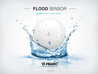 FLOOD SENSOR
perfection in every detail

Home intelligence
Patent Pending

 