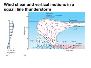 Wind shear and vertical motions in a
squall line thunderstorm

 