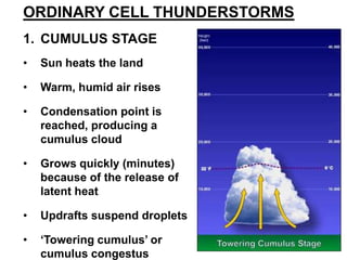 ORDINARY CELL THUNDERSTORMS
1. CUMULUS STAGE
•

Sun heats the land

•

Warm, humid air rises

•

Condensation point is
reached, producing a
cumulus cloud

•

Grows quickly (minutes)
because of the release of
latent heat

•

Updrafts suspend droplets

•

„Towering cumulus‟ or
cumulus congestus

 
