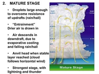 2.

MATURE STAGE
• Droplets large enough
to overcome resistance
of updrafts (rain/hail)
• “Entrainment”
Drier air is drawn in
• Air descends in
downdraft, due to
evaporative cooling
and falling rain/hail
• Anvil head when stable
layer reached (cloud
follows horizontal wind)
• Strongest stage, with
lightning and thunder

 