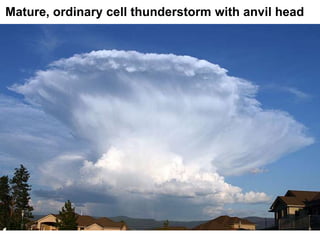 Mature, ordinary cell thunderstorm with anvil head

 