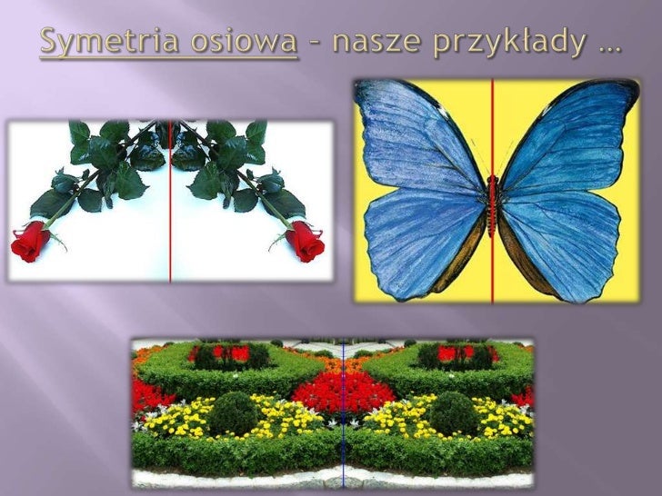 Prezentacja grupy g1 na tropach symetrii -