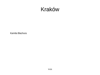 WSB
Kraków
Kamila Blachura
 