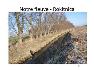 Notre fleuve - Rokitnica

40.

 