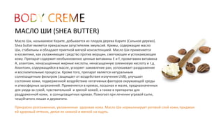МАСЛО ШИ (SHEA BUTTER) 
Масло Ши, называемое Карите, добывается из плодов дерева Карите (Сальное дерево). 
Shea butter является прекрасным загустителем эмульсий. Кремы, содержащие масло 
Ши, стабильны и обладают приятной мягкой консистенцией. Масло Ши применяется 
в косметике, как увлажняющее средство против морщин, смягчающее и успокаивающее 
кожу. Препарат содержит необыкновенно ценные витамины Е и F, провитамин витамина 
А, алантоин, ненасыщенные жирные кислоты, ненасыщенную олеиновую кислоту и т.д. 
Алантоин, содержащийся в масле, ускоряет заживление ран, успокаивает раздражение 
и воспалительные процессы. Кроме того, препарат является натуральным 
солнезащитным фильтром (защищает от воздействия излучения UVB), улучшает 
состояние кожи, подверженной воздействию негативных факторов окружающей среды 
и атмосферных загрязнений. Применяется в кремах, лосьонах и мазях, предназначенных 
для ухода за сухой, чувствительной и зрелой кожей, а также в препаратах для 
раздраженной кожи, в солнцезащитных кремах. Помогает при лечении угревой сыпи, 
чешуйчатого лишая и дерматита. 
Прекрасно разглаженная, увлажненная здоровая кожа. Масло Ши нормализирует роговой слой кожи, придавая 
ей здоровый оттенок, делая ее нежной и мягкой на ощупь. 
 