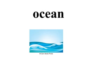 ocean
 