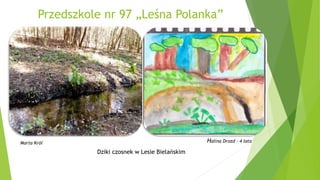 Przedszkole nr 105 „Wesoła Stopiątka”
Zawilce w Parku Olszyna
Jan Pokora – 4 lata
Sylwia Ambroziak-Zaręba
 