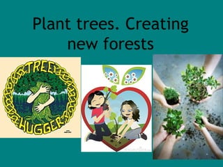Plant trees. Creating 
new forests 
 