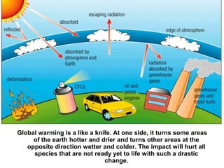 Global warming is a like a knife. At one side, it turns some areas 
of the earth hotter and drier and turns other areas at the 
opposite direction wetter and colder. The impact will hurt all 
species that are not ready yet to life with such a drastic 
change. 
 
