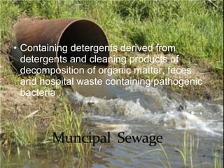 • Containing detergents derived from 
detergents and cleaning products of 
decomposition of organic matter, feces 
and hospital waste containing pathogenic 
bacteria . 
 