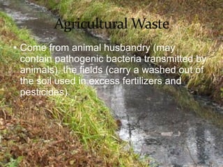 • Come from animal husbandry (may 
contain pathogenic bacteria transmitted by 
animals), the fields (carry a washed out of 
the soil used in excess fertilizers and 
pesticides). 
 