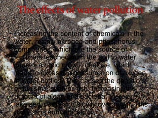 • Increasing the content of chemicals in the 
water, mainly nitrogen and phosphorus 
compounds, which are the source of 
fertilizers leached from the soil to water, 
causes a rapid growth of algae, which 
leads to excessive consumption of oxygen 
in water bodies. This causes the death of 
organisms, such as fish. Increasing the 
amount of algae and bacteria, there are 
lake sediments and slowly overgrown. This 
process is eutrophication. 
 