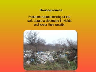 Consequences: 
Pollution reduce fertility of the 
soil, cause a decrease in yields 
and lower their quality. 
 