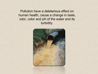 Pollution have a deleterious effect on 
human health, cause a change in taste, 
odor, color and pH of the water and its 
turbidity. 
 