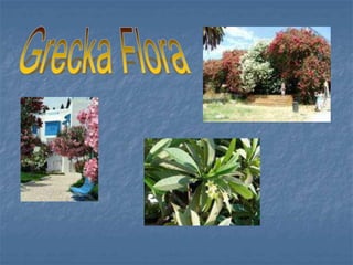 Prezentacja o Grecji!