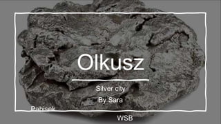 Olkusz
Silver city
By Sara
Pabisek
WSB
 