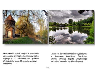 WSB
Park Sielecki − park miejski w Sosnowcu,
usytuowany przylegle do dzielnicy Sielec.
Największy z Sosnowieckich parków.
Występuje tu około 60 gatunków drzew
i krzewów
Leśna - to ośrodek rekreacji i wypoczynku
w Sosnowcu Kazimierzu Górniczym
Główną atrakcją bogato urządzonego
parku jest niewielki ogród zoologiczny.
 